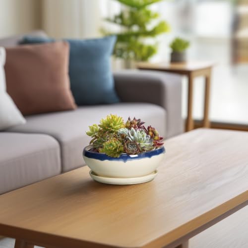 SQOWL Succulent Pots 6 Inch, Ceramic Bonsai Pots with Saucer, Blue-Beige - color: Blue-beige, size: 6 Inch