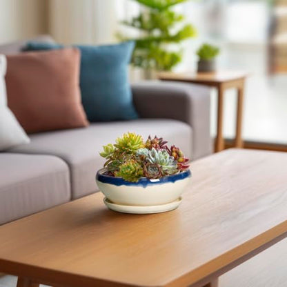 SQOWL Succulent Pots 6 Inch, Ceramic Bonsai Pots with Saucer, Blue-Beige - color: Blue-beige, size: 6 Inch