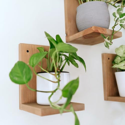 Daniel's Plants 3-Pack Mid-Century Modern L-Shaped Floating Shelves | Solid Wood Plant Ledge | Wall Mounted Shelf Kit (Prairie Sand) - color: Prairie Sand