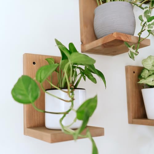 Daniel's Plants 3-Pack Mid-Century Modern L-Shaped Floating Shelves | Solid Wood Plant Ledge | Wall Mounted Shelf Kit (Prairie Sand) - color: Prairie Sand