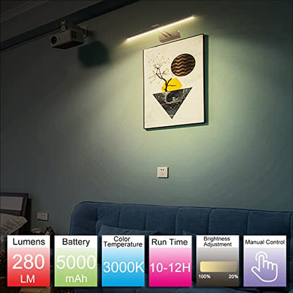 HEAGEERO Picture Lights for Wall,20in Gallery Light,5000mAh Art Light - color: Black-20"