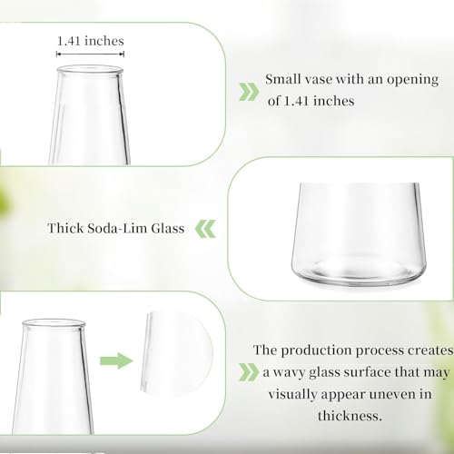 Glasseam Small Glass Vases for Flowers, 12 Pcs Clear Bulk Centerpiece Vases - size: Clear-12pcs
