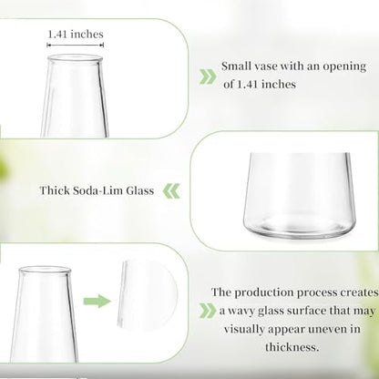 Glasseam Small Glass Vases for Flowers, 12 Pcs Clear Bulk Centerpiece Vases - size: Clear-12pcs