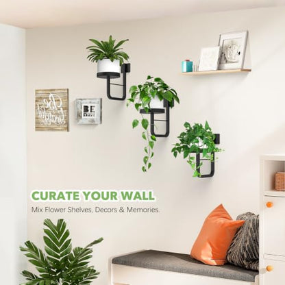 3 Pack Wall Plant Holder for Hanging Planters Indoor Outdoor Black - color: Black-3pcs15cm