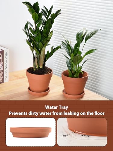 INGOFIN Terracotta Pots Set with Saucer - 2-Pack Ceramic Clay Planters with Drainage Hole, Garden Flower Succulent Pots with Tray for Indoor Outdoor Plants, 8 inch, Set of 2 - size: 8/8 inch -2 pcs