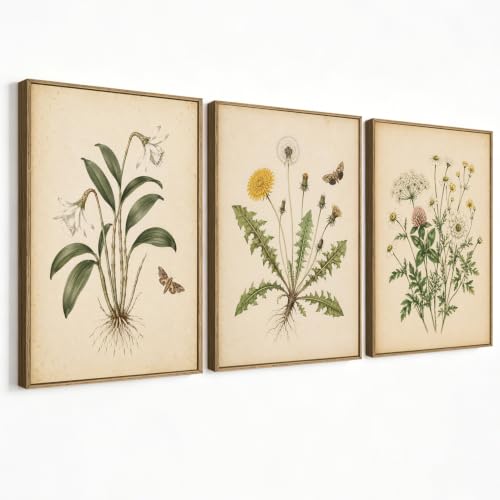 Antique Vintage Botanical Canvas Wall Art Set of 3, Old Paper Wildflower Dandelion Daffodil Butterfly Prints, Farmhouse Neutral Floral Wall Decor, 12x16 Inch framed Plant Posters for Home Decor - color: 02-framed, size: 12" L x 16"W