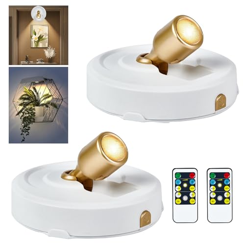 RAHAN 2Pack Battery Operated Spotlight, Picture Light with Remote Dimmable & Timer, Plants Uplighting Picture Lights for Paintings, Small LED Spot Display Lights for Wall Frame Artwork Dartboard - color: White-G