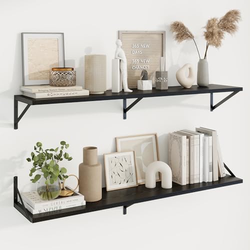 Axeman Deep Floating Shelves, 48'' x 10'' Black Wall Shelves Set of 2 - color: Black, size: 48W x 10D
