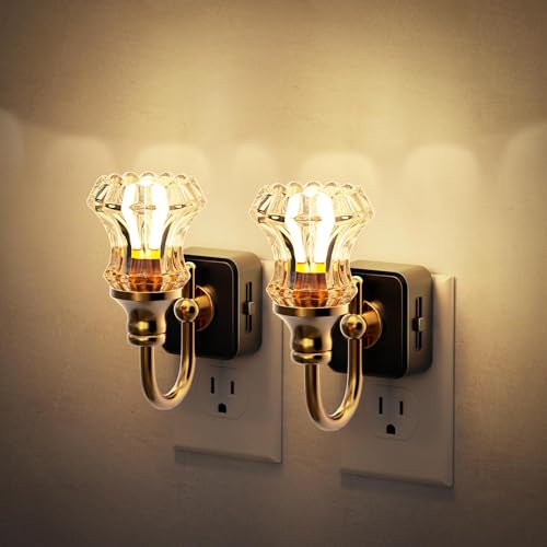 JandCase Night Light, Night Lights Plug into Wall, Glass Floral Nightlight - color: Striped Flower