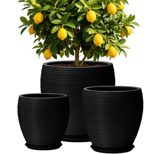 QRRICA Large Round Plastic Planter Set of 3 –16+13+10 Inches with Drainage & Rubber Plugs – Indoor Outdoor Pots for Flowers, Vegetables, Herbs (Black, 16+13+10 inch) - color: Black, size: 16+13+10 inch