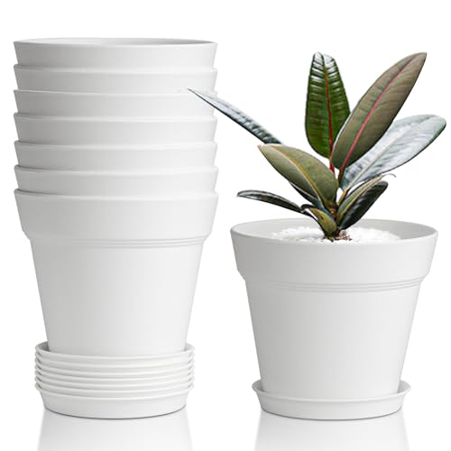 T4U Small Plant Pots 4 Inch 8 Pack, Plastic Indoor Flower Pots Saucer White - color: White, size: 4 inch