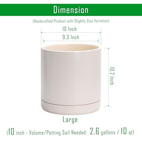 D'vine Dev 10 Inch Ceramic Planter Pot, Oatmeal, 94-O-E-8 - color: Oatmeal, size: Large