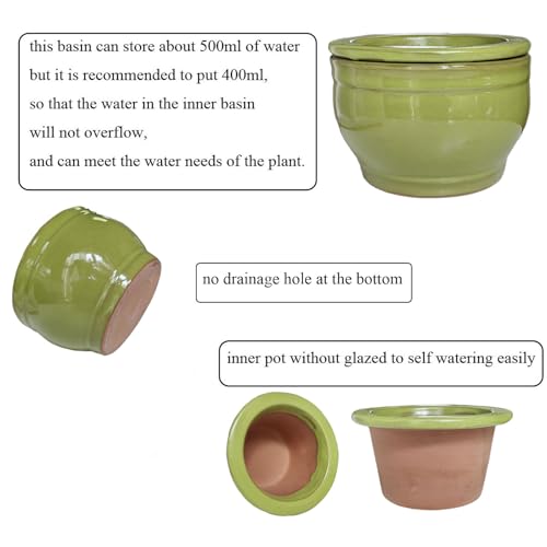African Violet Pots Self Watering Green 6 inch - color: Green