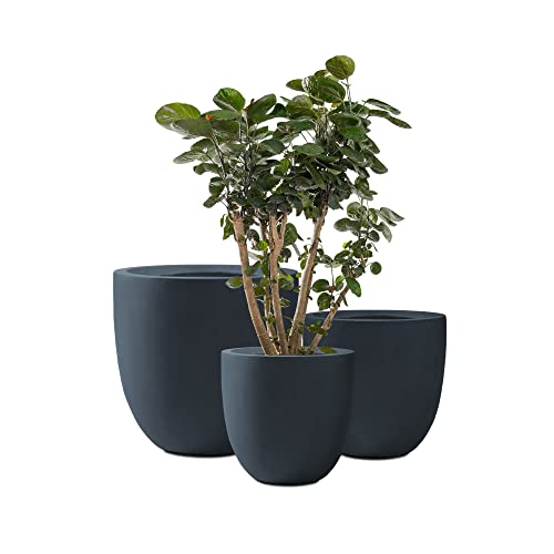 Kante Set of 3 Charcoal Concrete Curved Planters 20" 16.5" 13.3" Dia - color: Charcoal, size: 20.1"d + 16.5"d + 13.4"d
