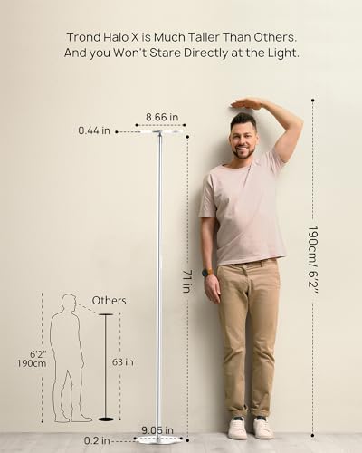 TROND Floor Lamp,5000LM Super Bright Sky LED Modern Torchiere Standing Lamp - color: Warm light Silver