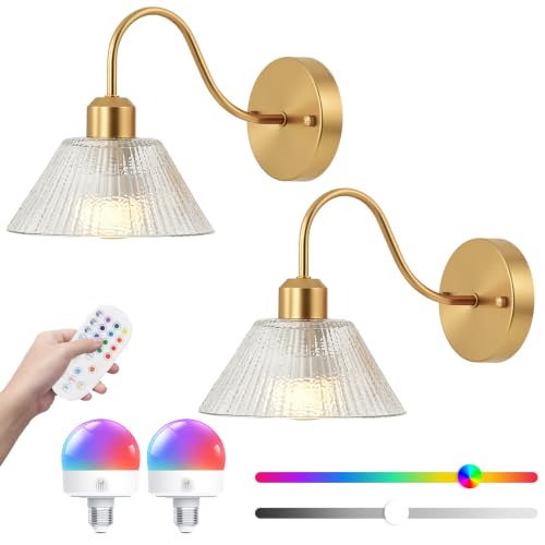 Vintage Battery-Operated Wall Sconces,Wireless Rechargeable Wall Light with Flower Glass Lampshade,Dimmable Wall Lamp with Remote Control for the Bedroom,Bathroom,Living Room,Bedside,Hallway,Set of 2 - color: Transparent