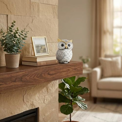 Smadeer Black and White Owl Statue, Small Resin Owl Boho Shelf Decor - color: White