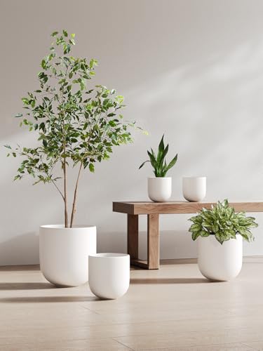 LE TAUCI 6 Inch Ceramic Plant Pot, Small Indoor Planter, White - color: White, size: 6”