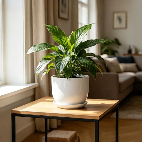 8 Inch Ceramic Plant Pot,Ceramic Planter,White - size: 8 Inch 1 Pc