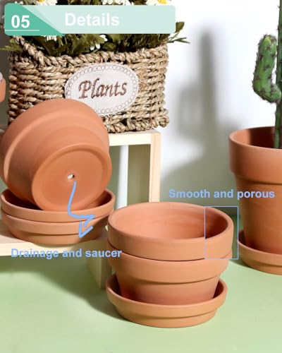 vensovo 4.5 Inch Terracotta Shallow Succulent Pots with Saucers, 6 Pack - color: Brown, size: 4.5 Inch