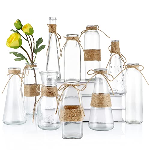 MDLUU Clear Glass Bud Vase in Bulk, 10Pcs Assorted Decorative Glass Bottles with Rope, Different Sizes Vintage Jar for Wedding Centerpiece, Party, Reception Table, Home Decor