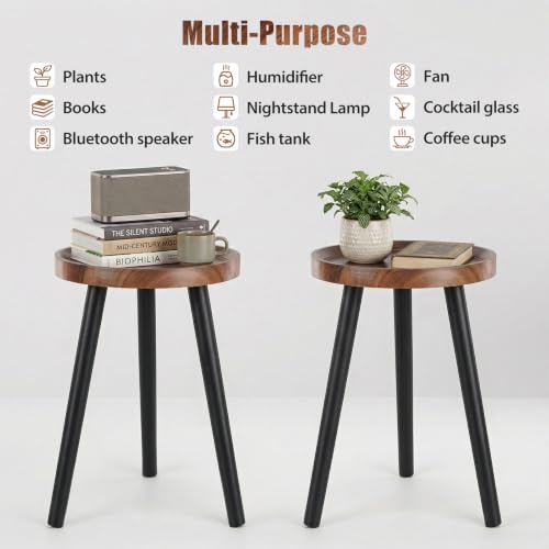 Mid Century Wood Plant Stand – 120 lbs Heavy Duty Plant Stand with Raised Tray & Spray Painted Legs, Solid Wood Side Table for Living Room, Bedroom, Entryway, Small Footprint for Plants, Decor (2 Pcs)