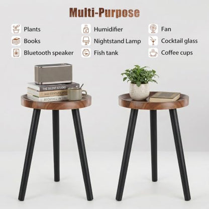 Mid Century Wood Plant Stand – 120 lbs Heavy Duty Plant Stand with Raised Tray & Spray Painted Legs, Solid Wood Side Table for Living Room, Bedroom, Entryway, Small Footprint for Plants, Decor (2 Pcs)