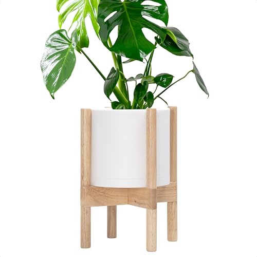 D'vine Dev Plastic Pot with Natural Wood Stand, White, 8 in, 55-C-J-1 - color: Matte White Pot + Natural Stand, size: 8 Inch