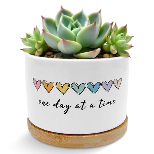 Inspirational Mental Health Gifts Plant Pots Planters - color: Style B