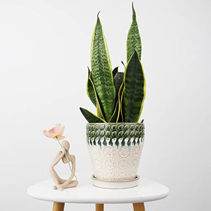 6 Inch Ceramic Planter Pots with Drainage Holes, Saucers and Mesh Pads for Indoor-Outdoor Plants, Succulent Orchid Flower Large Round Plant Pot, Set of 2 (Green+White) - size: set of 2-6inch