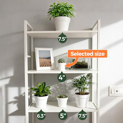 T4U Small Plant Pots 4 Inch 8 Pack, Plastic Indoor Flower Pots Saucer White - color: White, size: 4 inch