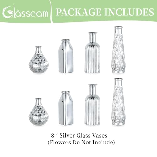Glasseam Silver Glass Vase for Single Flower: 8 Pcs Small Decorative Vases - size: 8pcs