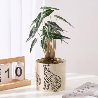 STHIE 5 Inch Ceramic Planters for Indoor Plants, Funny Small Plant Pots - color: Beige-two Panthers