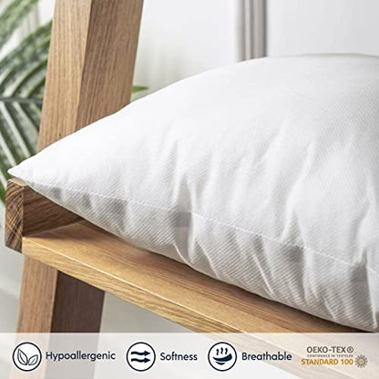 Phantoscope Outdoor Pillows Waterproof 18x18 Outdoor Pillow Inserts 2 Pack - size: 18x18 Inch