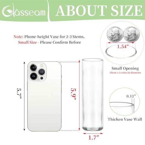Glasseam Cylinder Bud Vases in Bulk 24: Clear Small Glass Vases for Flowers