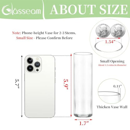 Glasseam Cylinder Bud Vases in Bulk 24: Clear Small Glass Vases for Flowers