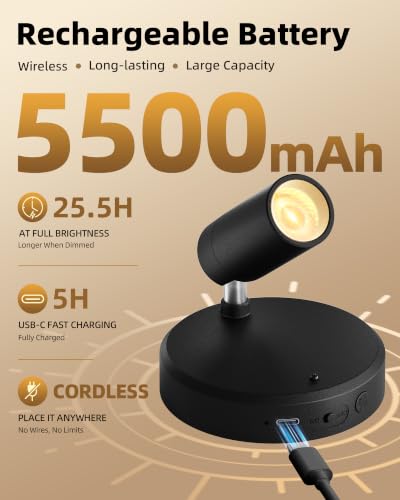 EZVALO Indoor Spotlights, Picture Lights for Wall, Plant Up Lights - color: Black