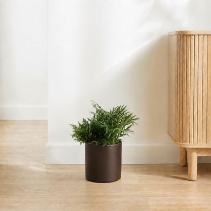 7 Inch Coffee Metal Plant Pot with Drainage Hole, Indoor Outdoor - color: Coffee
