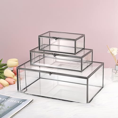 Hipiwe Vintage Glass Box with Lid Jewelry Display Case Vanity Lidded Box - color: Black, size: X-Large