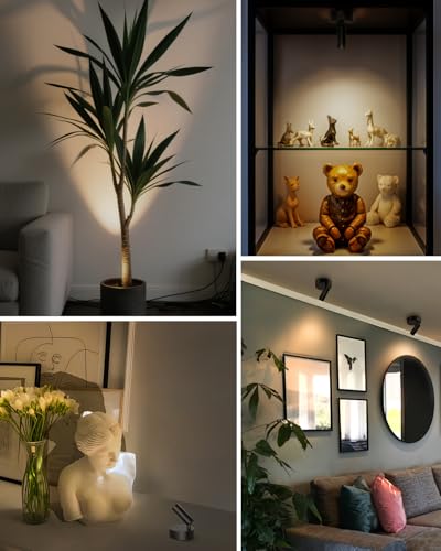 Spotlights Indoor with Remote, 3000Mah Rechargeable Wireless Plant Light - color: Black-3000mAh