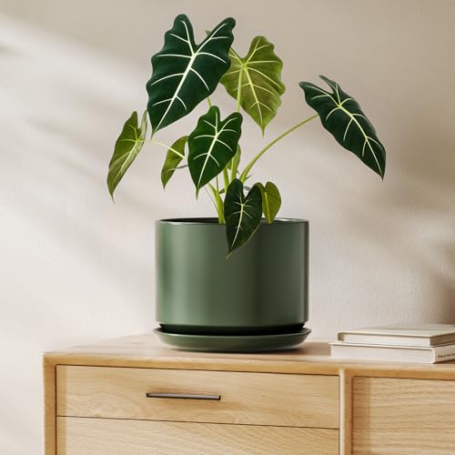 LE TAUCI 8 Inch Plant Pot, Ceramic Pots for Plants, Forest Green - color: Forest Green, size: 8"