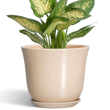 Ceramic Pots for Plants, 5.6 Inch Plant Pot with Drainage, Beige - color: Beige, size: 6 Inch