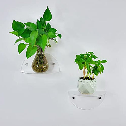 ROYALITA 2-Pack Small Acrylic Shelves Room Decor Floating Shelves, Clear - color: Clear