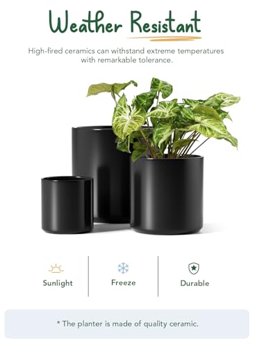 LE TAUCI 10+8+6 Inch Ceramic Pots for Plants, Indoor Planters with Drainage Hole and Plug, Modern Cylinder Flower Pots Set of 3 for Office and Living Room, Satin, Black - color: Black