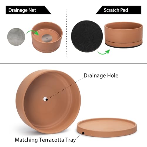 D'vine Dev Terracotta Shallow Planter Pot with Saucer, 12 in, 40-Y-C-0 - size: 12 Inch
