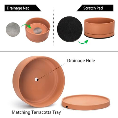 D'vine Dev Terracotta Shallow Planter Pot with Saucer, 12 in, 40-Y-C-0 - size: 12 Inch