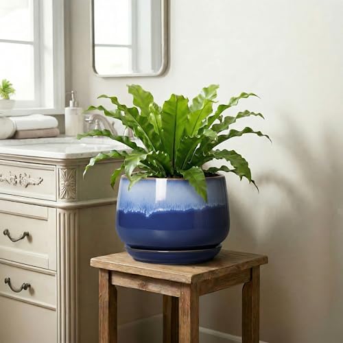 Ceramic Pots for Plants, 9 Inch Indoor Planter, Deep Blue - size: 9 Inch, style: Deep Blue