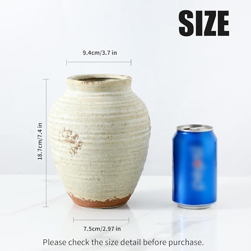 Ceramic Decorative Vase, 7.4 Inch Rustic Farmhouse Flower Vase - color: 205-3-7.4in