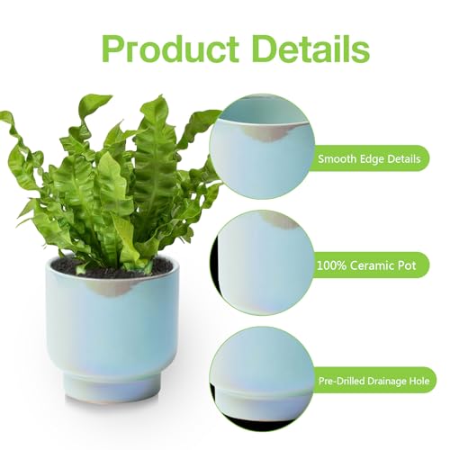 Teal Ceramic Plant Pots - Succulent Flower Small Planter, Pot for Indoor Outdoor Garden Plants with Drainage Holes - Plants Not Included 4.33 X4.33 Inch - color: Teal