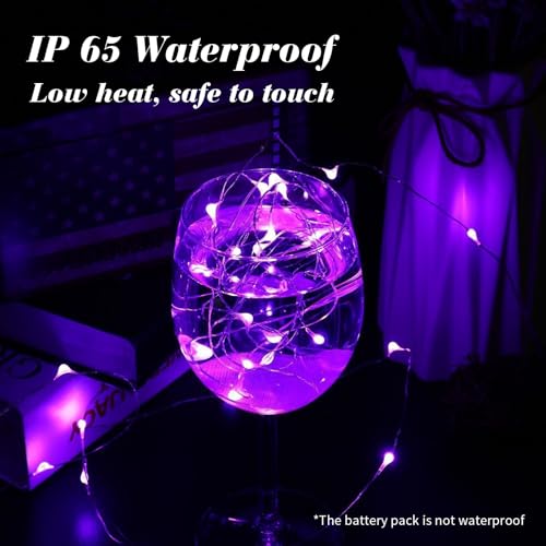 ZGWJ 12 Pack Purple Fairy Lights, Mini String Lights - color: Purple, size: 12P